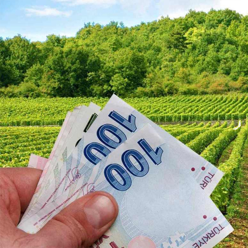 Tarım ve Orman Bakanlığı Hibe Destek Başvurusu, Çiftçiler ve Girişimciler İçin Fırsatlar