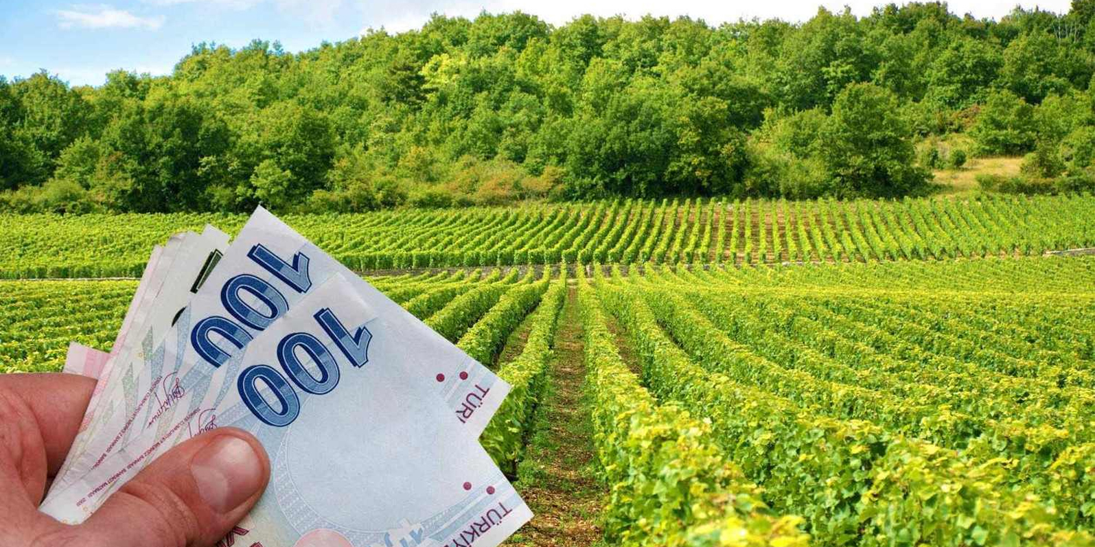 Tarım ve Orman Bakanlığı Hibe Destek Başvurusu, Çiftçiler ve Girişimciler İçin Fırsatlar Resim Galerisi