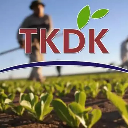 TKDK Kırsal Kalkınma Destekleme Başvurusu Nedir? Nasıl Yapılır?